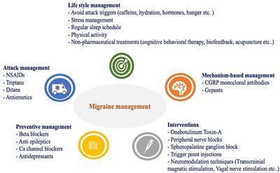 Revolutionizing migraine management: advances and challenges in CGRP-targeted therapies and their clinical implications